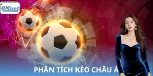 Phân Tích Kèo Châu Á 8XBET Cho Người Mới Tiếp Cận Bóng Đá